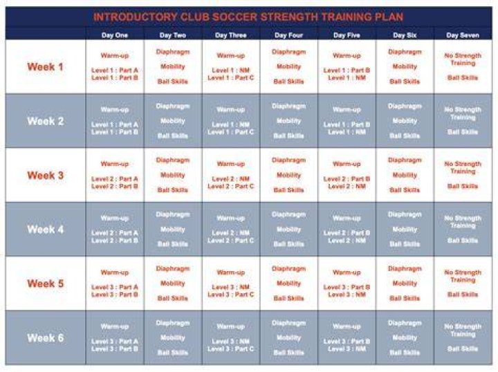 1 Online Football Training Programs 5 Star Football Package