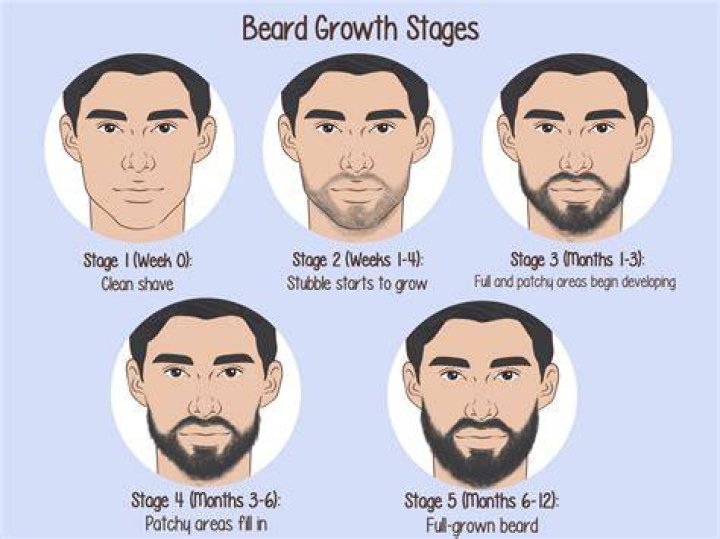 2 Months Of Beard Growth Example 1 Inch YouTube