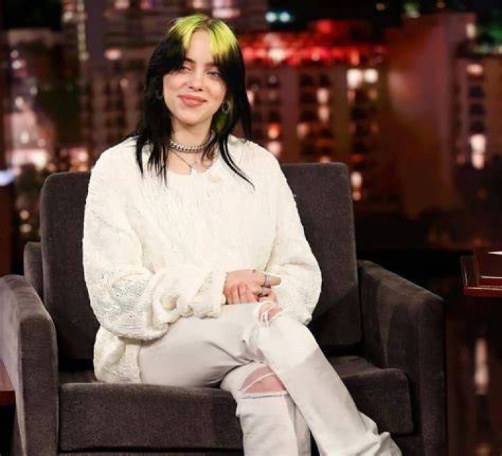 2,212 Likes, 15 Comments Billie Eilish Fans 🧚🏼&zwj;♀️ (dvdbillie) on