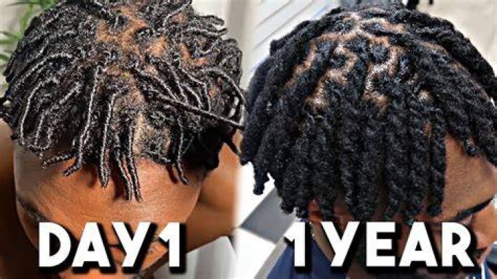 4 MONTHS INTO DREADS HALF MEXICAN 🇮🇹 r/Dreadlocks