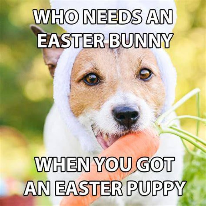 40 Funny Easter Memes That Are Really Excellent FamilyMinded