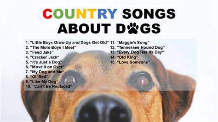 42 Country Songs About Dogs Spinditty