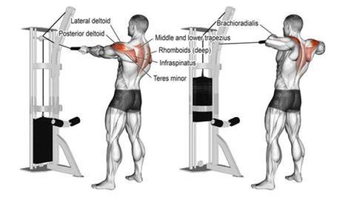 5 Best Rear Delt Cable Exercises To Get Big Shoulders Fast