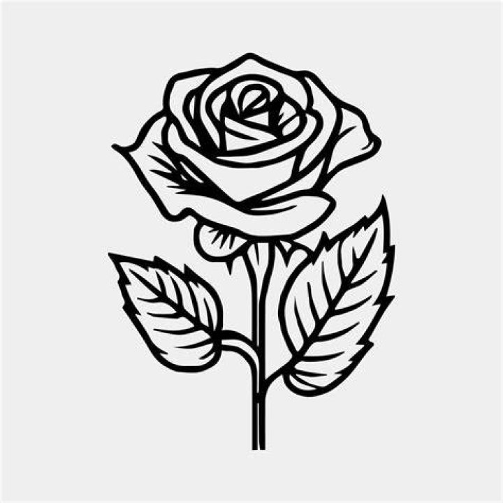 a black and white drawing of a rose with an intricate design on the petals,