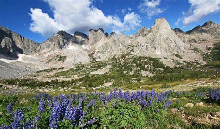 AL Mountain Range Alan's Lids