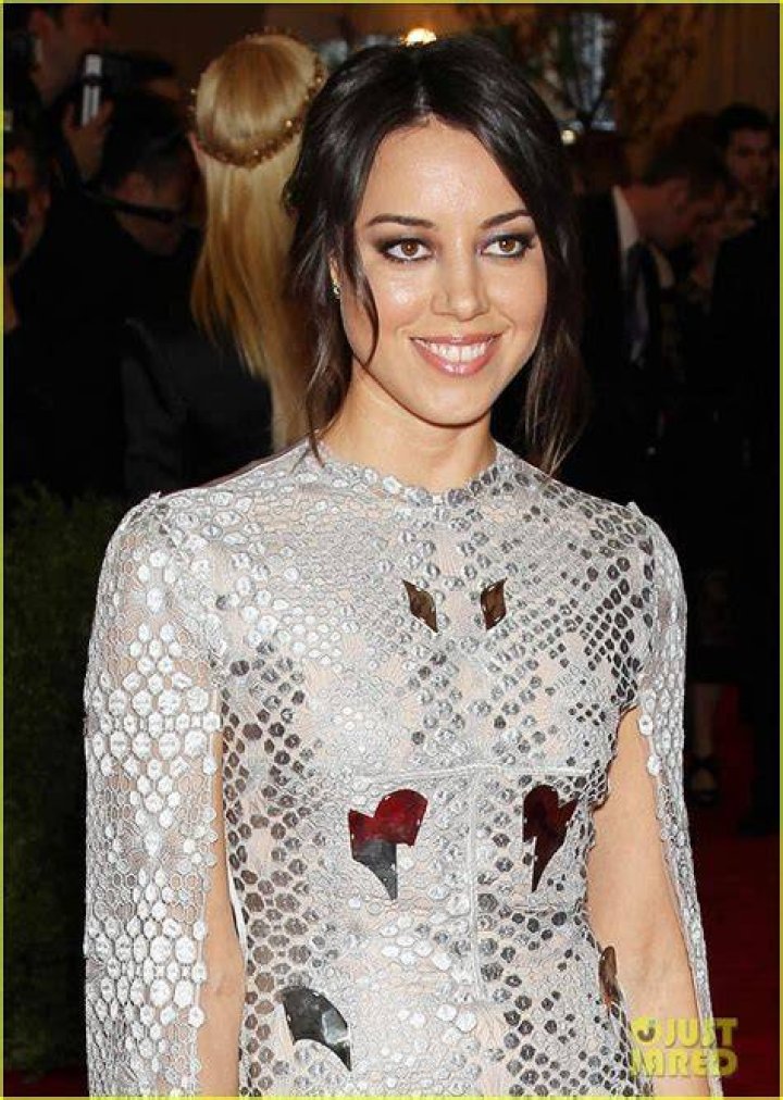 Aubrey Plaza Met Ball 2013 Red Carpet Photo 2865571 Aubrey Plaza