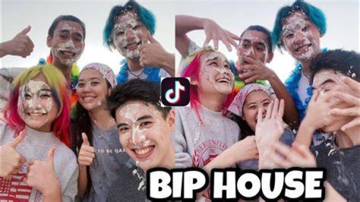 BIP House Best tiktok compilation YouTube