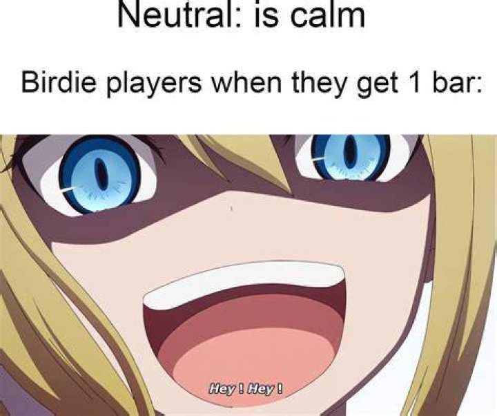 Birdie memes are also funny r/StreetFighter