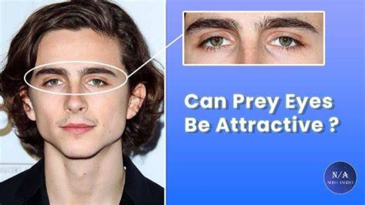 Can Prey Eyes Be Attractive ? Facial Attractiveness (Blackpill
