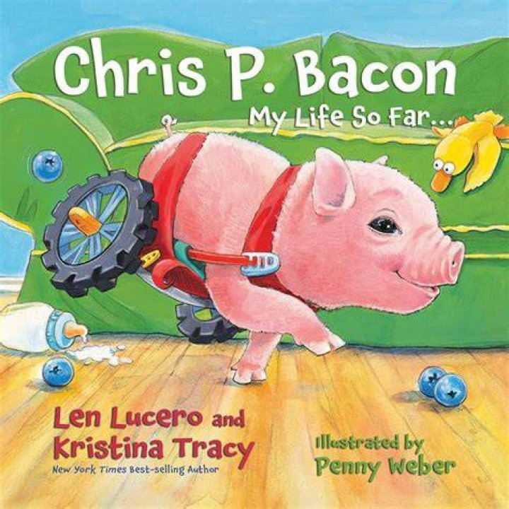 Chris P. Bacon on ABC Action News YouTube