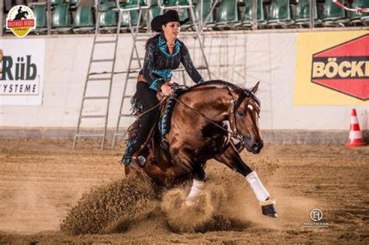 Cira Baeck Reiner Superior Saddlery, LLC