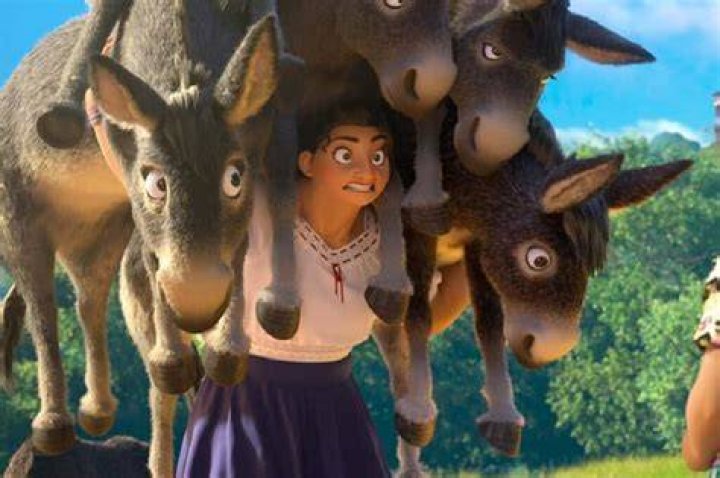 Disney On Ice Encanto Donkeys YouTube