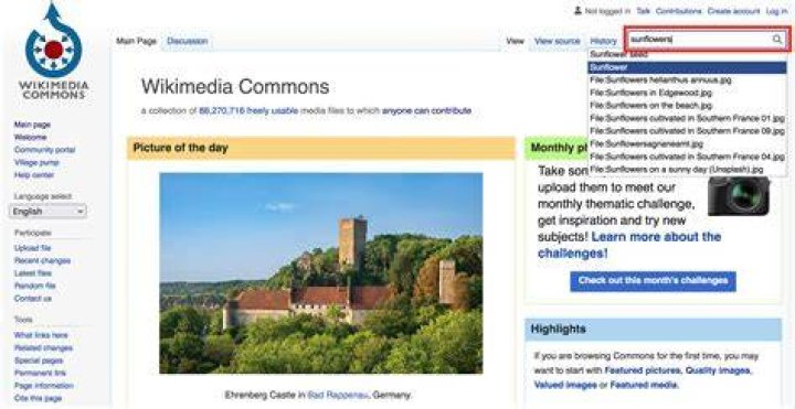 FileMad dog.jpg Wikimedia Commons