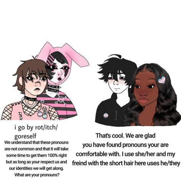 Fixed this truscumy meme so now its nice and respectfull r/neopronouns