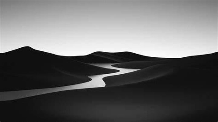 Free Images black and white, wine, glass, bar, drink, bottle, beer