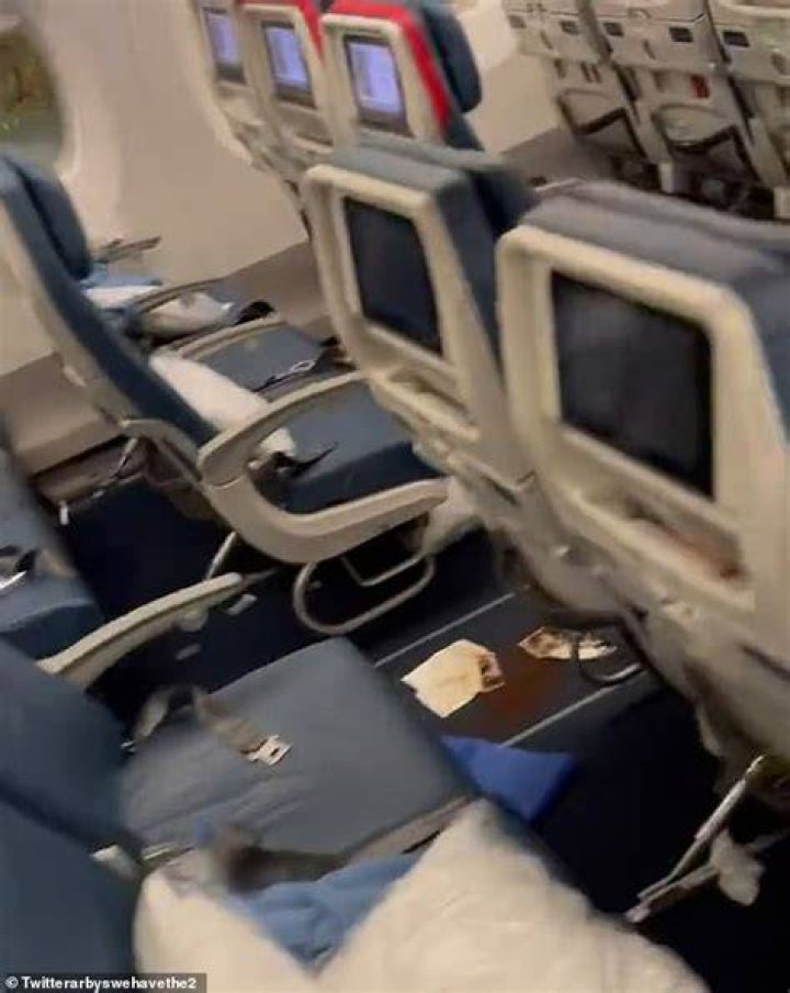 Full Video Delta Diarrhea Flight Video
