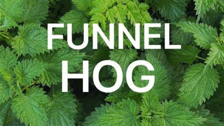 Funnel HOG // Feedee Hypnosis YouTube