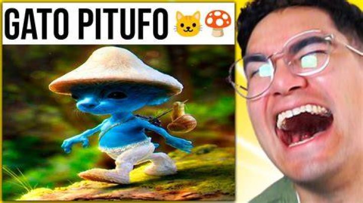 gato pitufo YouTube