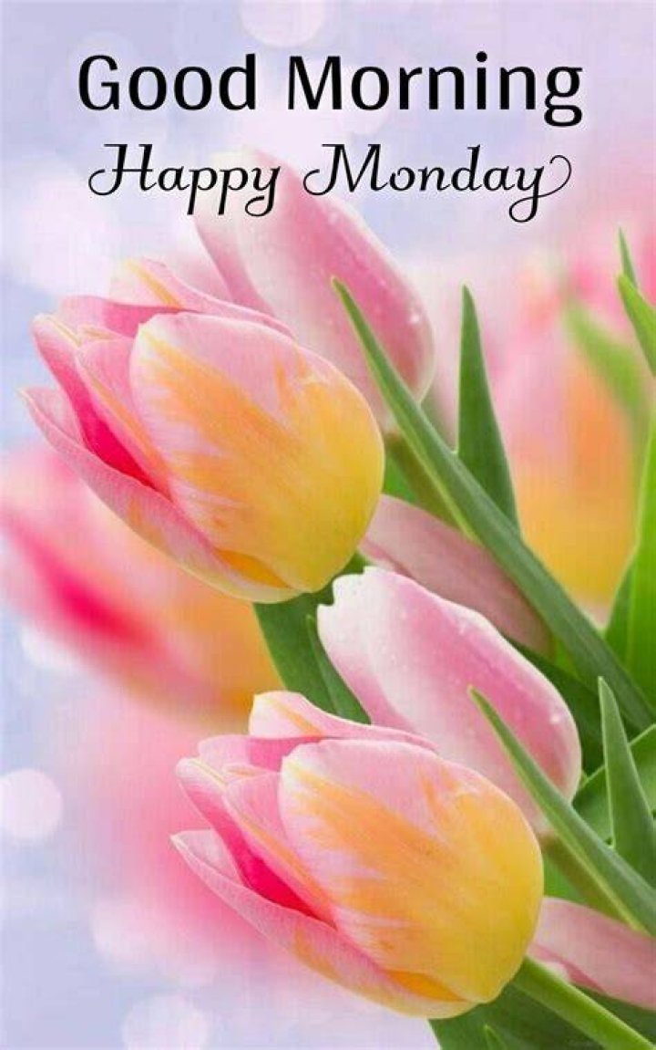 Good Morning Wishes On Monday Pictures, Images