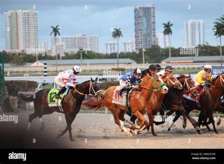 Hallandale, United States Of America. 25th Jan, 2020. HALLANDALE BEACH