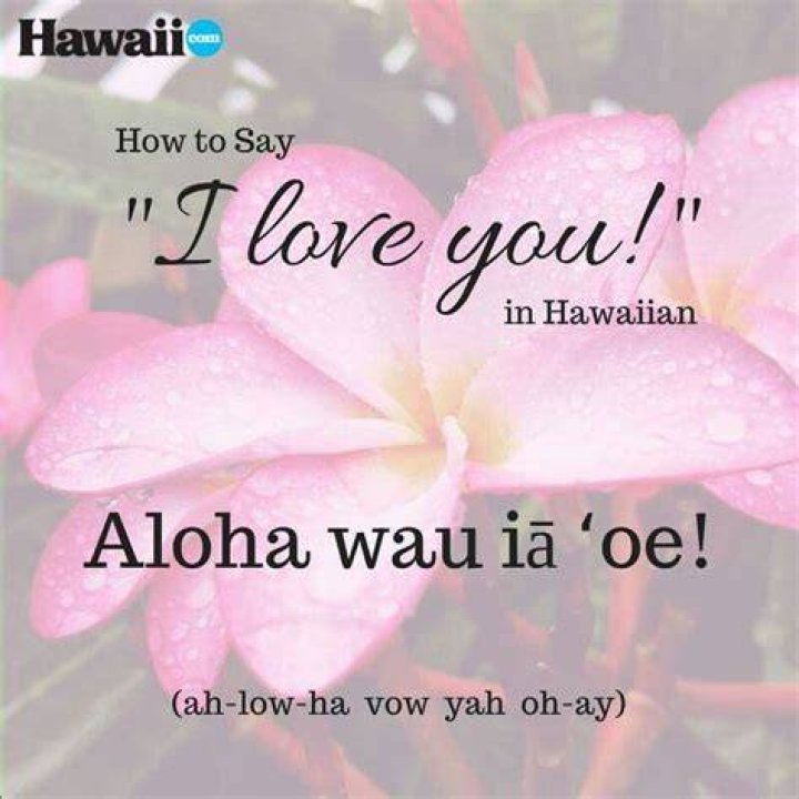 Hawaiian Word of the Week E hele kaua i ke kahakai &mdash; She Lives Aloha