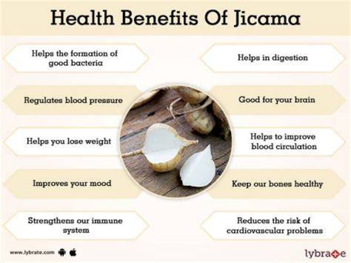 Health Benefits of Jicama Let&rsquo;s Get to the Root of Why Jicama Is So