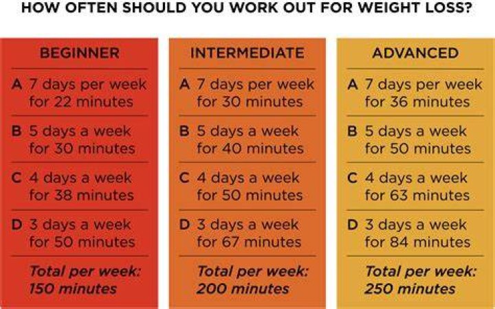 How Often Should You Go to the Gym? Abusiness Homes