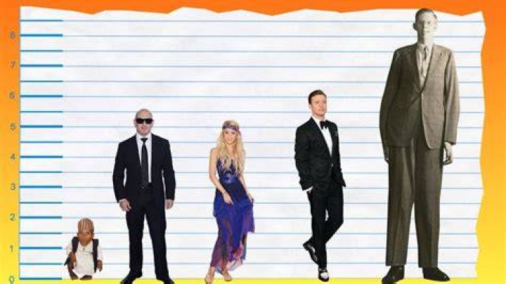 How Tall Is Pitbull? Height Comparison! YouTube