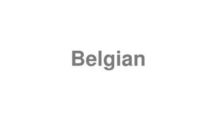 How To You Pronounce Belgian Malinois WHODOTO
