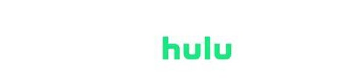 Hulu Is Making a Series About Pamela Anderson and Tommy Lee's Infamous