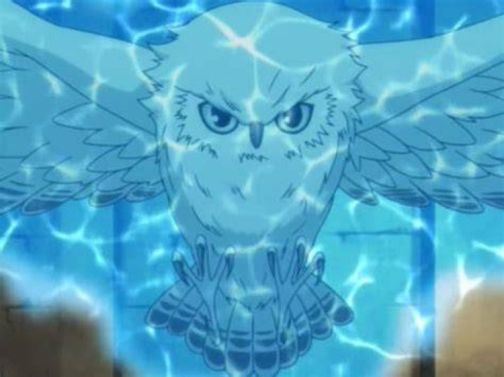 Image Anime owl 2.jpg Naruto Fanon Wiki Fandom powered by Wikia