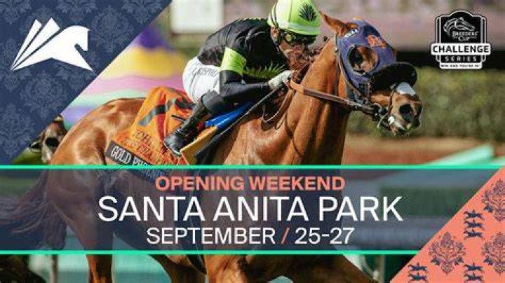Kinesi&oacute;logas Santa Anita on Sale head.hesge.ch