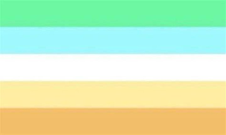 lem/lems neopronouns flag ) in 2023 Gender neutral pronouns, Pronoun