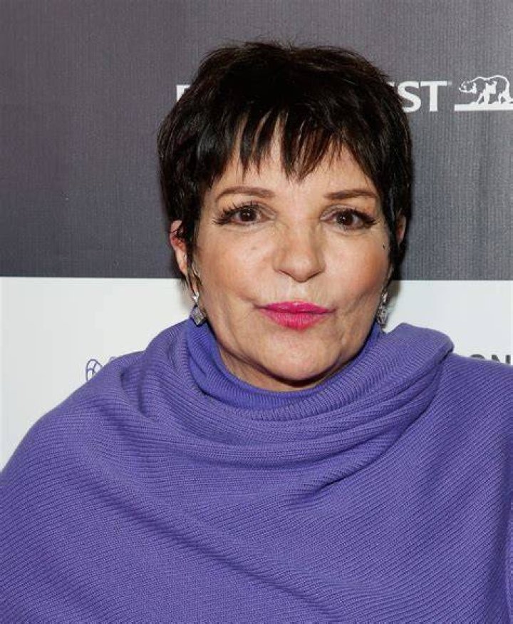 Liza Minnelli Asked for Help With Her Alcohol Addiction Before Entering