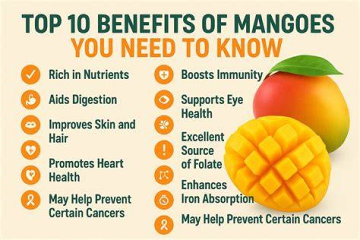 Mangoes Can Mangoes Make You Fat?? Live Life More Diet and Wellness