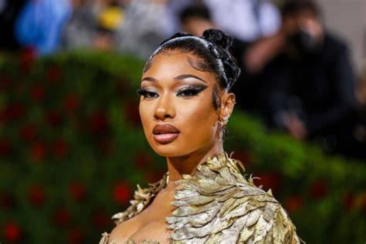 Megan Thee Stallion launches website for mental health resources