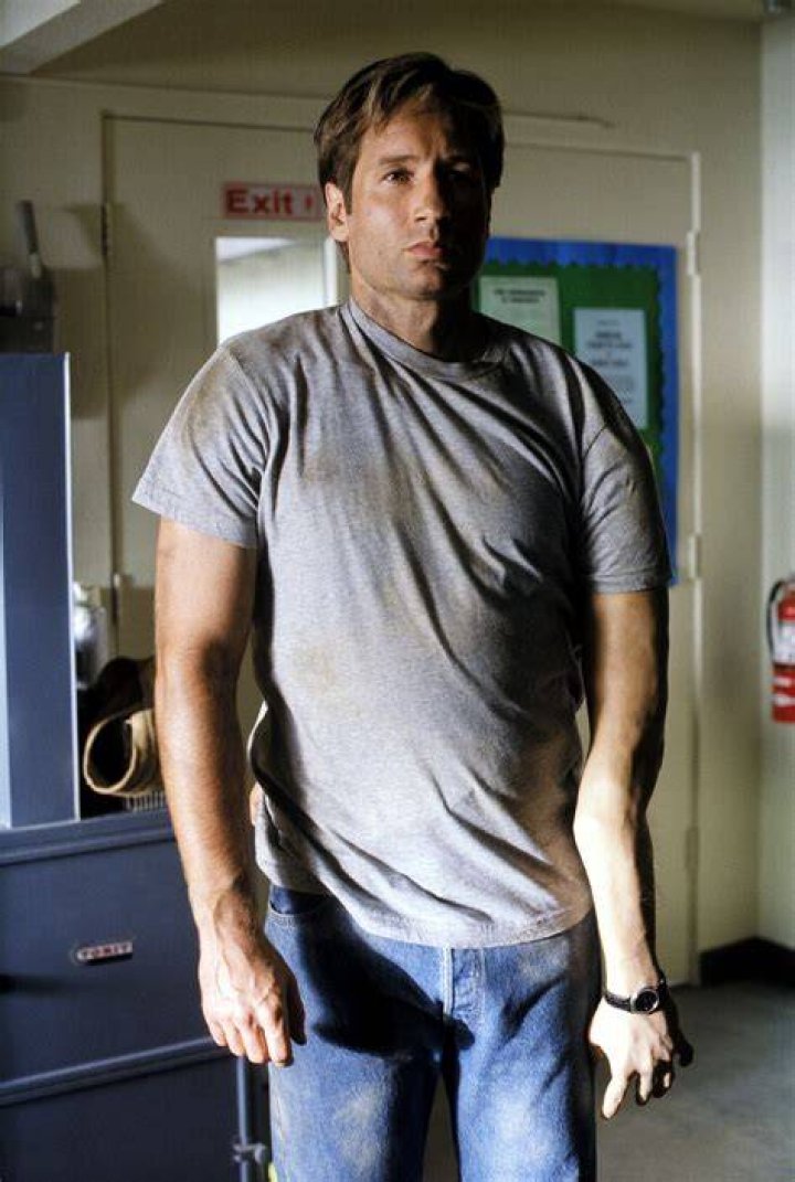 Mulder The XFiles Photo (25309893) Fanpop