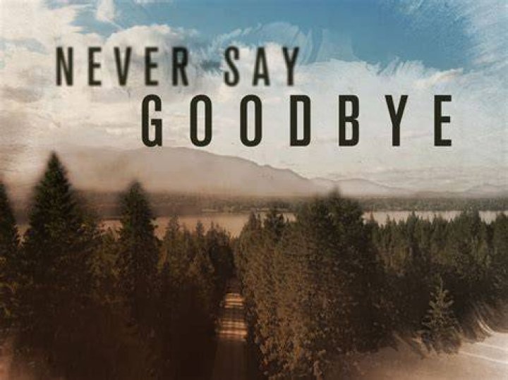 Never Say Goodbye To Love BLACK MUSIC ENTERTAINMENT Co. Ltd. BME ブラックミュージックエンターテインメント