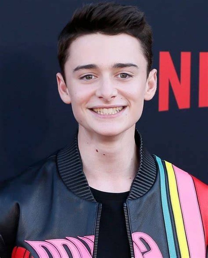Noah Schnapp Doblaje Wiki Fandom