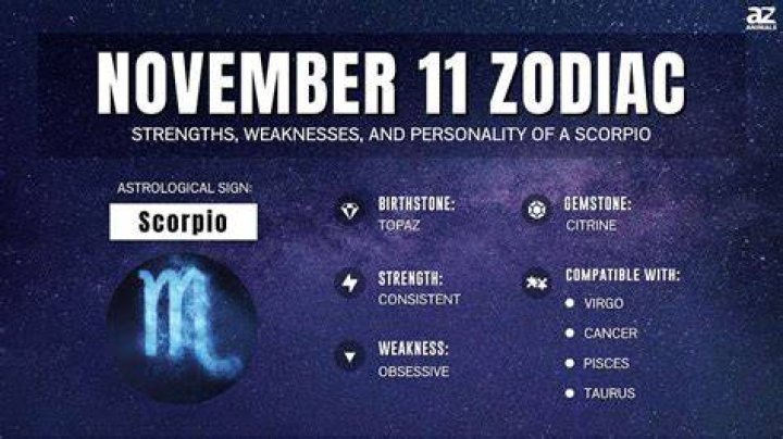 Nov Zodiac Sign Detailed Information