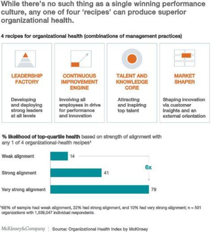 Organizational health A fast track to performance improvement McKinsey
