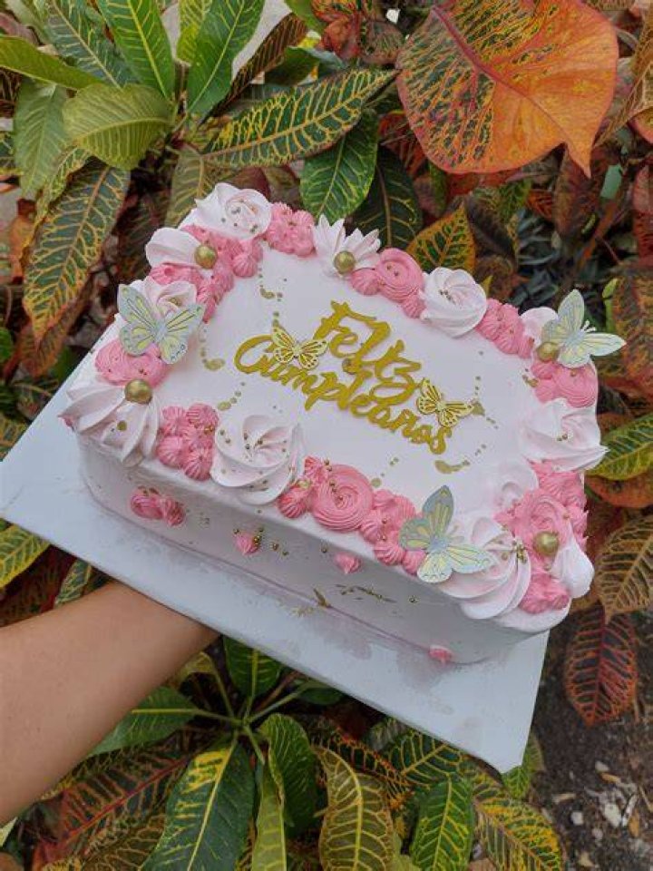 Pasteles Bonitos Para Mujer Cuadrados 15 Pasteles De Cumplea&ntilde;os Que