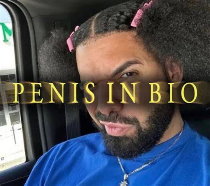Penis In Bio (Drake) Drake Exposed Video Leak on Twitter Know Your Meme
