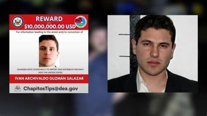 Perfil. Iv&aacute;n Archivaldo Guzm&aacute;n Salazar
