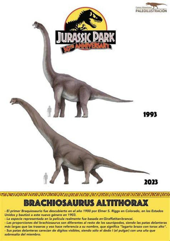 Pin by Fernando Puente on dinosaurios Prehistoric animals, Ancient