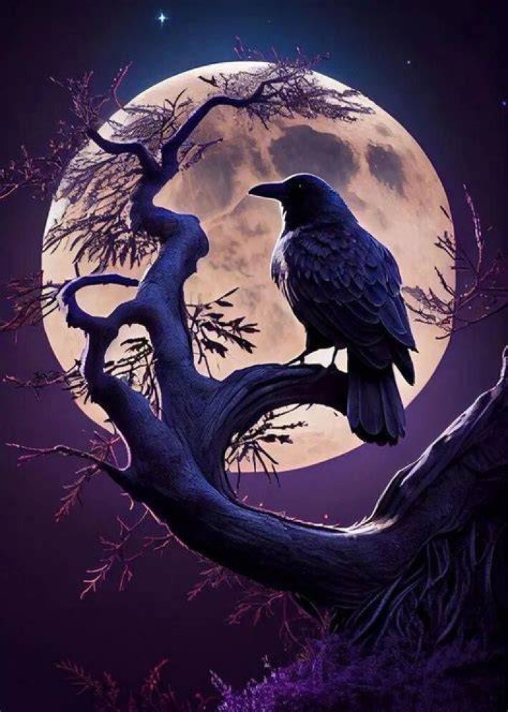 Pin van Raven Black Moon op *Kaulitz Twins* Tokio hotel, Tom kaulitz