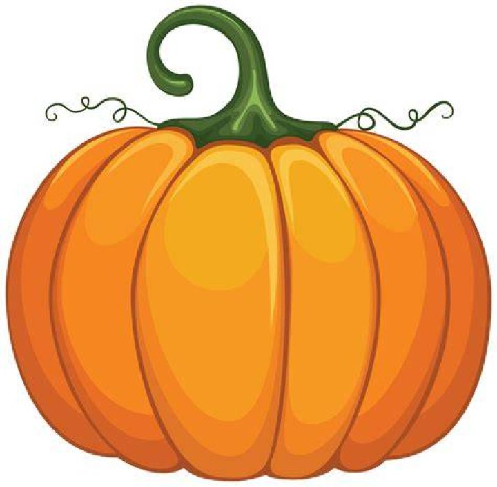 Pumpkin PNG
