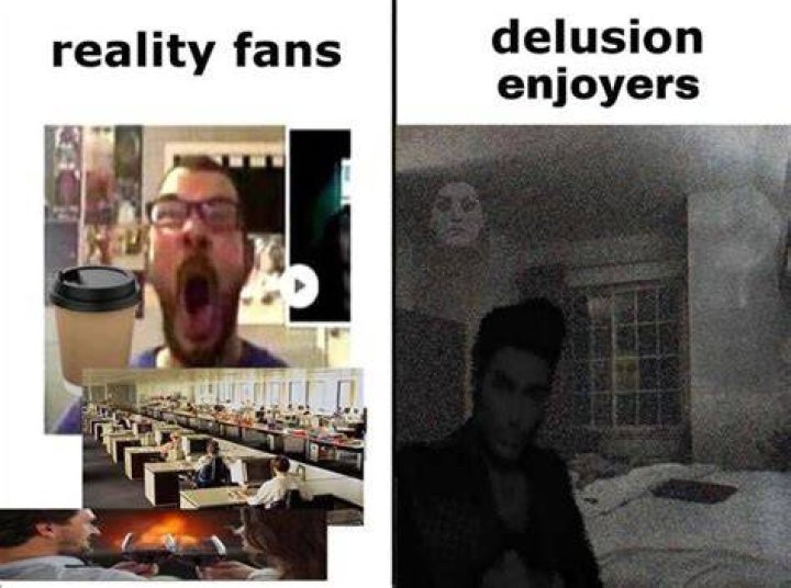Reality Fans / Delusion Enjoyers Schizoposting Know Your Meme