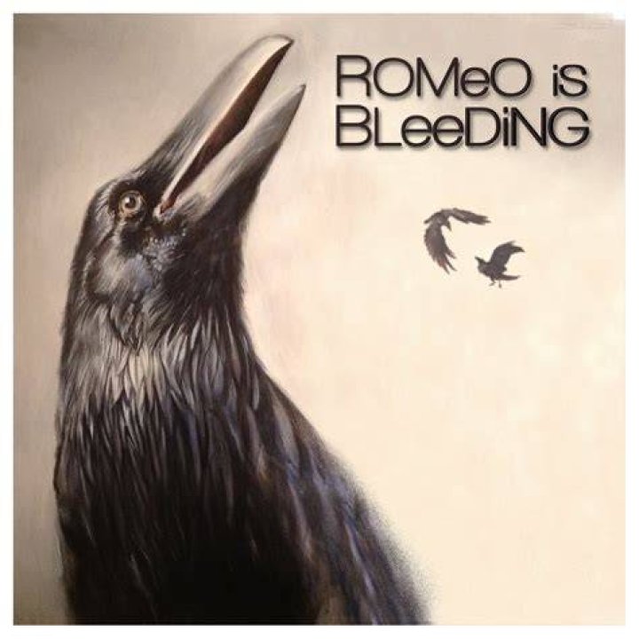 Romeo is Bleeding Hall & Oates Amazon.fr CD et Vinyles}