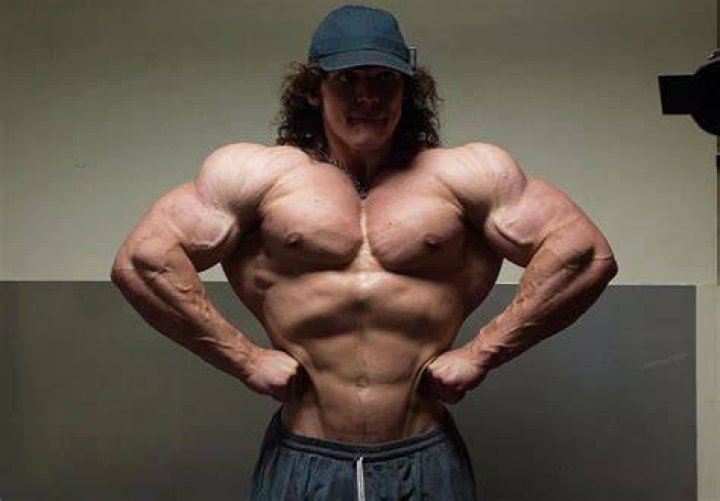 Sam Sulek and the Fitness Industry The Clarion